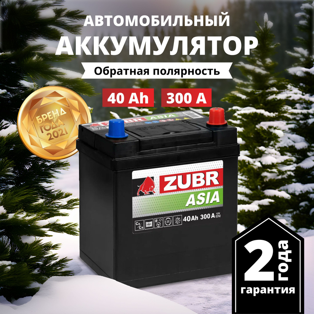 Аккумулятор автомобильный ZUBR Зубр Премиум Азия купить по выгодной цене в  интернет-магазине OZON (922215143)