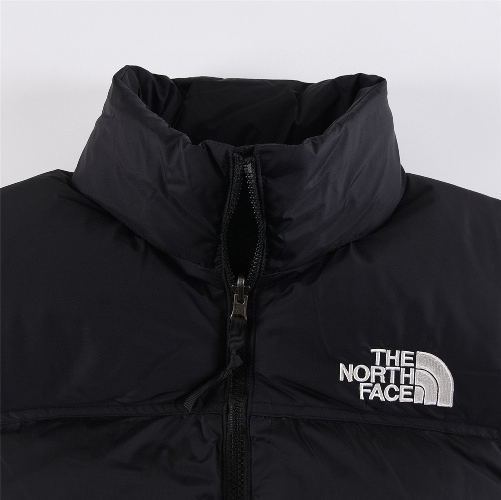 The north online face xxl jacket