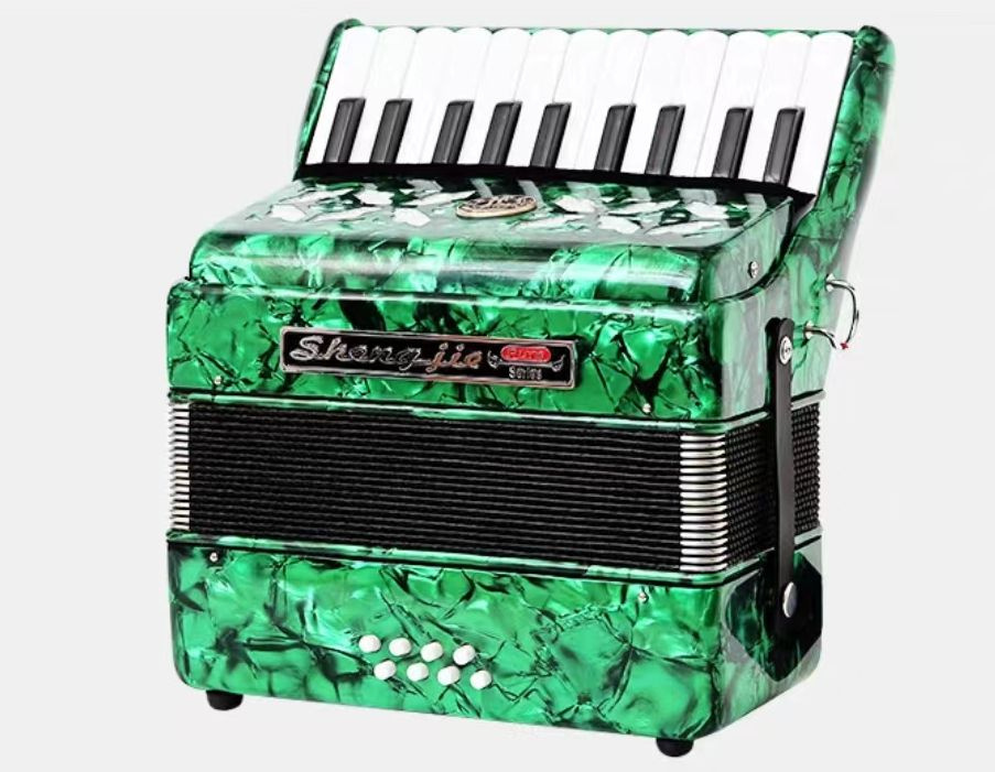 Гармошка для начинающих и детей/22 клавиши/5 цветов - купить с ...