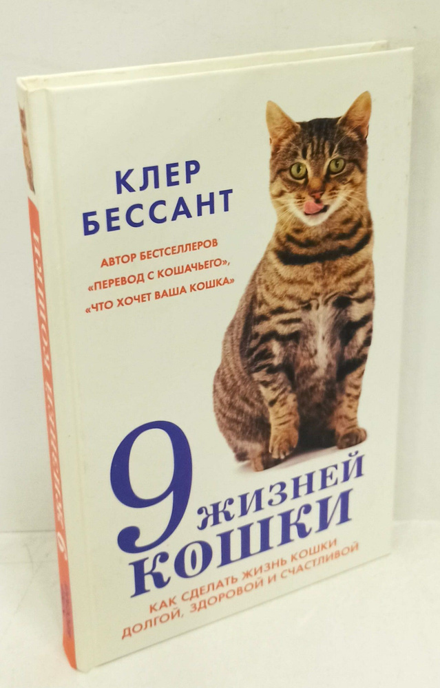 Как ведет себя потерявшаяся кошка | Служба контроля животных