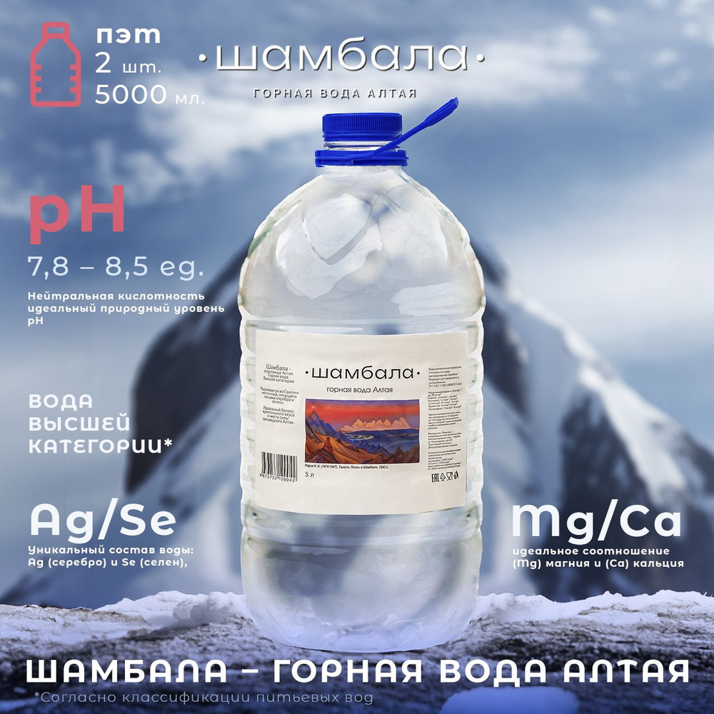 Вода питьевая минеральная негазированная Шамбала 2 шт. - купить с ...