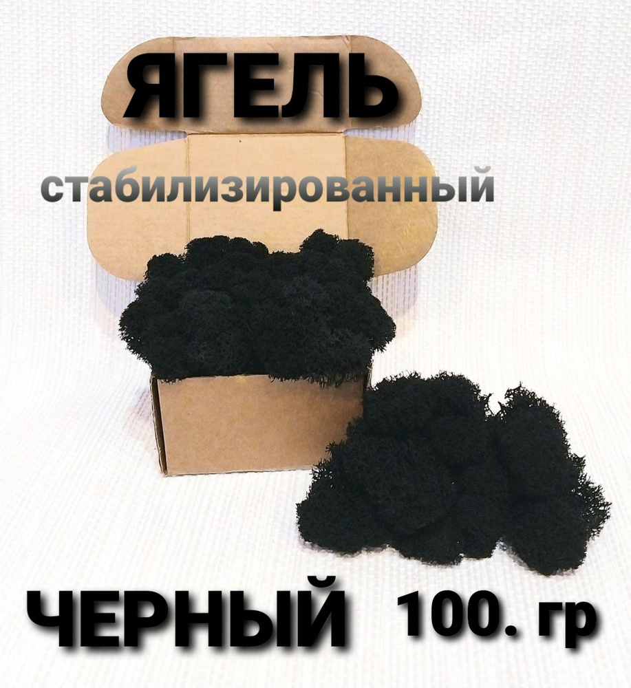 Стабилизированный мох, 100 гр #1