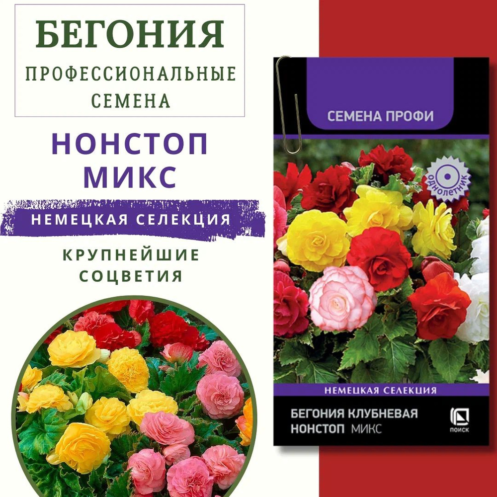 Бегония клубневая "Нонстоп Микс" 10 ШТ. семян, семена цветов на рассаду, семена цветов для посадки  #1