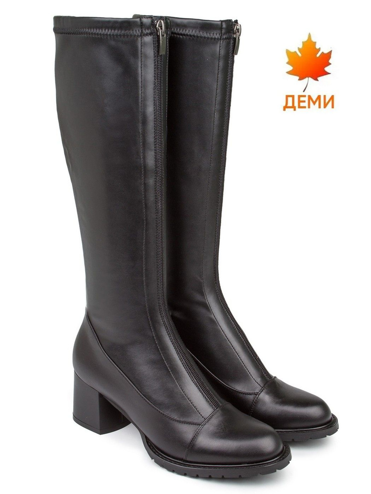Сапоги Dina Grata #1