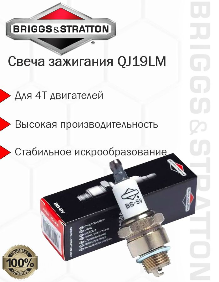 Свеча зажигания Briggs & Stratton 992300C - купить по выгодным ценам в ...