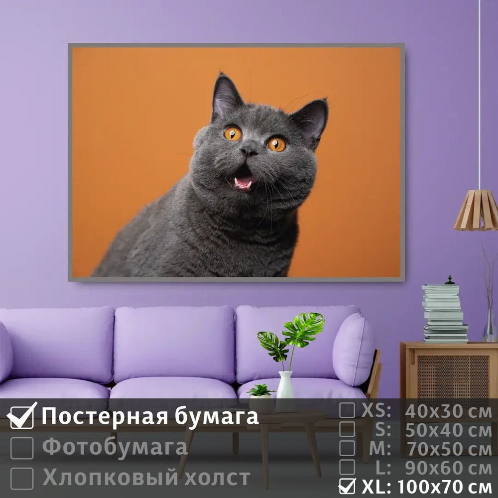 Постер на стену Серый Британский Кот 100х70 см ПолиЦентр #1