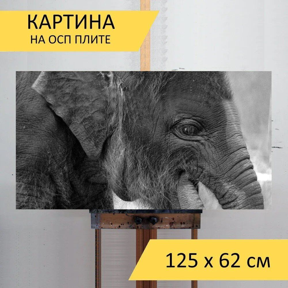 LotsPrints Картина "Слон, животные, дикая природа 11", 125 х 62 см  #1