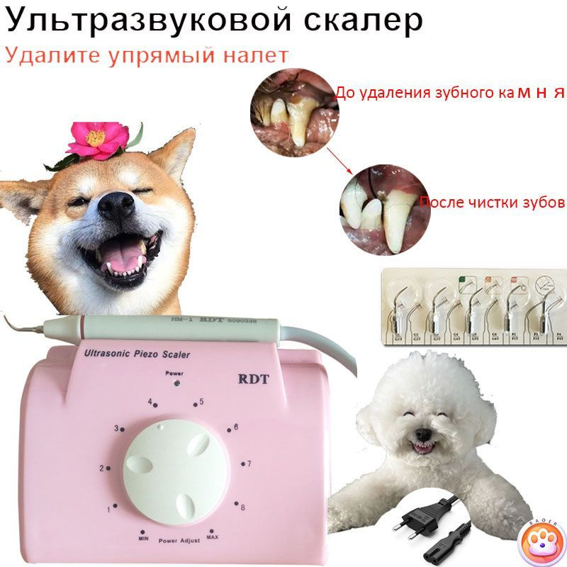 Зубная щетка для собак / Ультразвуковой скалер для удаления зубного ...
