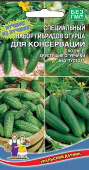 Семейный чеснок: в чем секрет большого урожая с маленькой территории