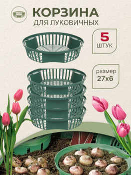 Как сделать корзину для посадки луковичных растений - Бобёparaskevat.ru