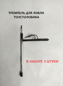 Как правильно ловить толстолобика с поверхности и дна, время лучшего клева | Рыбалка спорт