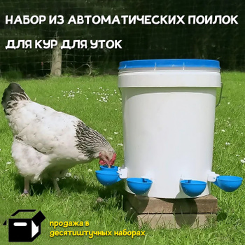 Описание вариантов и пошаговое изготовление поилок для кур с целью обеспечения птицы чистой водой