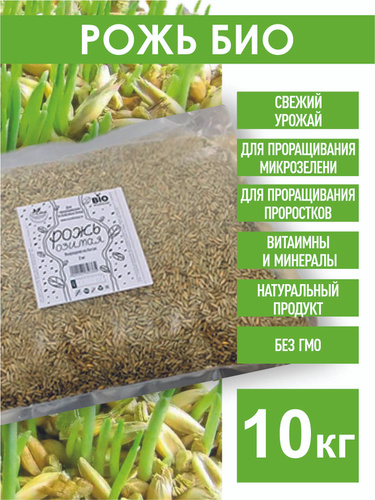 Семена ржи БИО, 10 кг. рожь озимая для проращивания - купить с ...