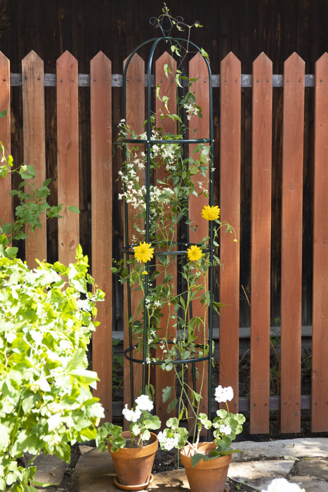 Опора садовая для растений и цветов H198xD40см металлическая, круглая .