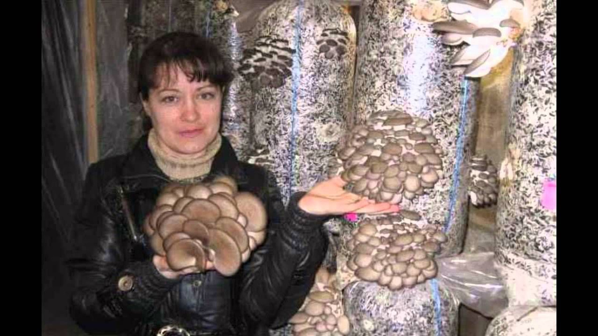 Текст при отключенной в браузере загрузке изображений