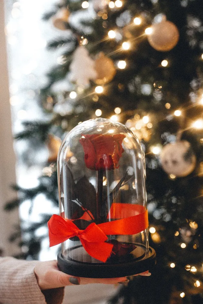 Стабилизированные цветы в стекле, Роза в колбе живая Glamur бордовый , GIFT4YOU, вариант, фото 5