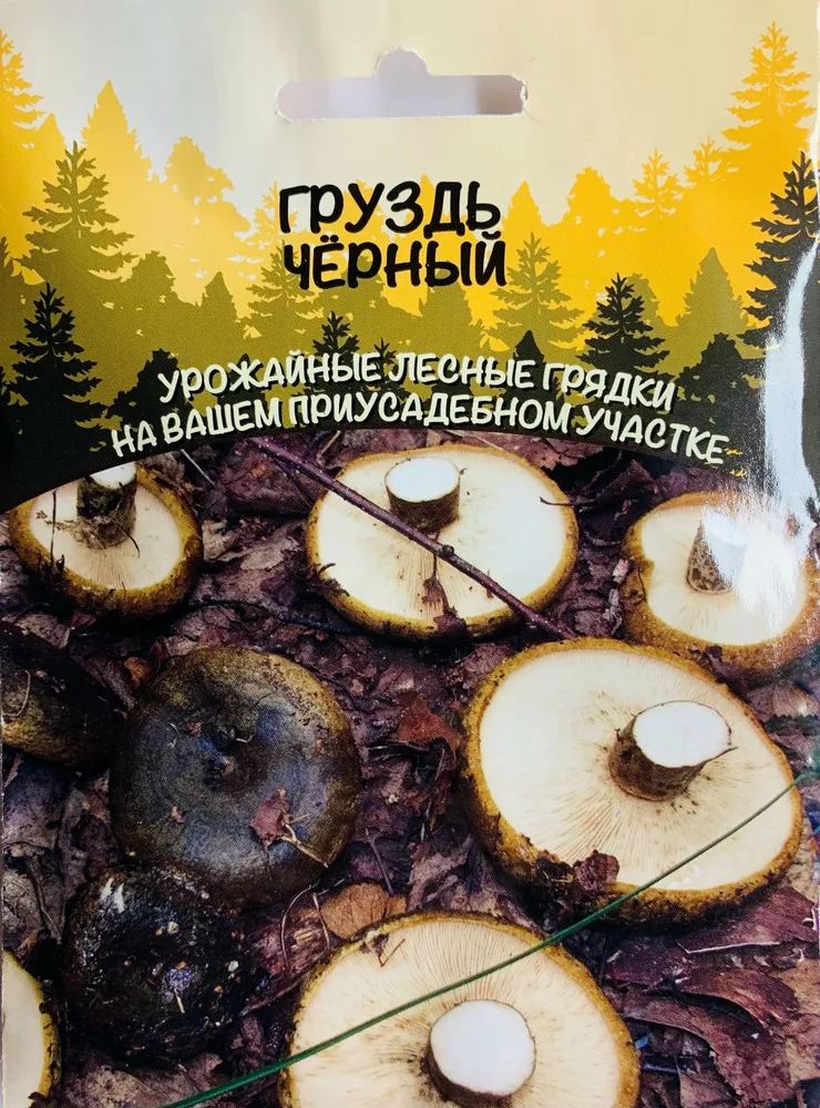 Гриб, Груздь Черный, 1 пакет, зерновой мицелий 30 мл, Уральский Дачник, 30 мл