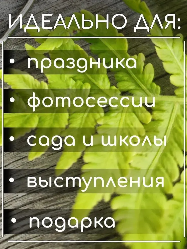 AMERINOFF Бабочка Детская, вариант, фото 4