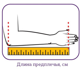 Длина предплечья как измерить фото