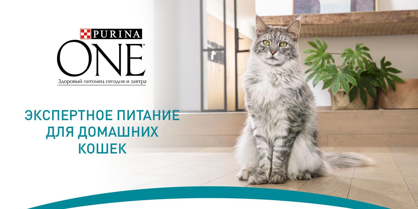 PurinaOne Cat Indoor