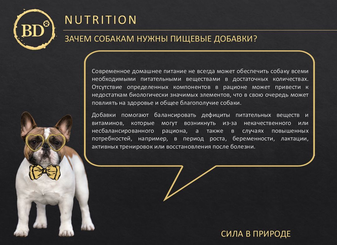 Витамины для собак BD "Артрофит" профилактика заболеваний суставов 60 ...