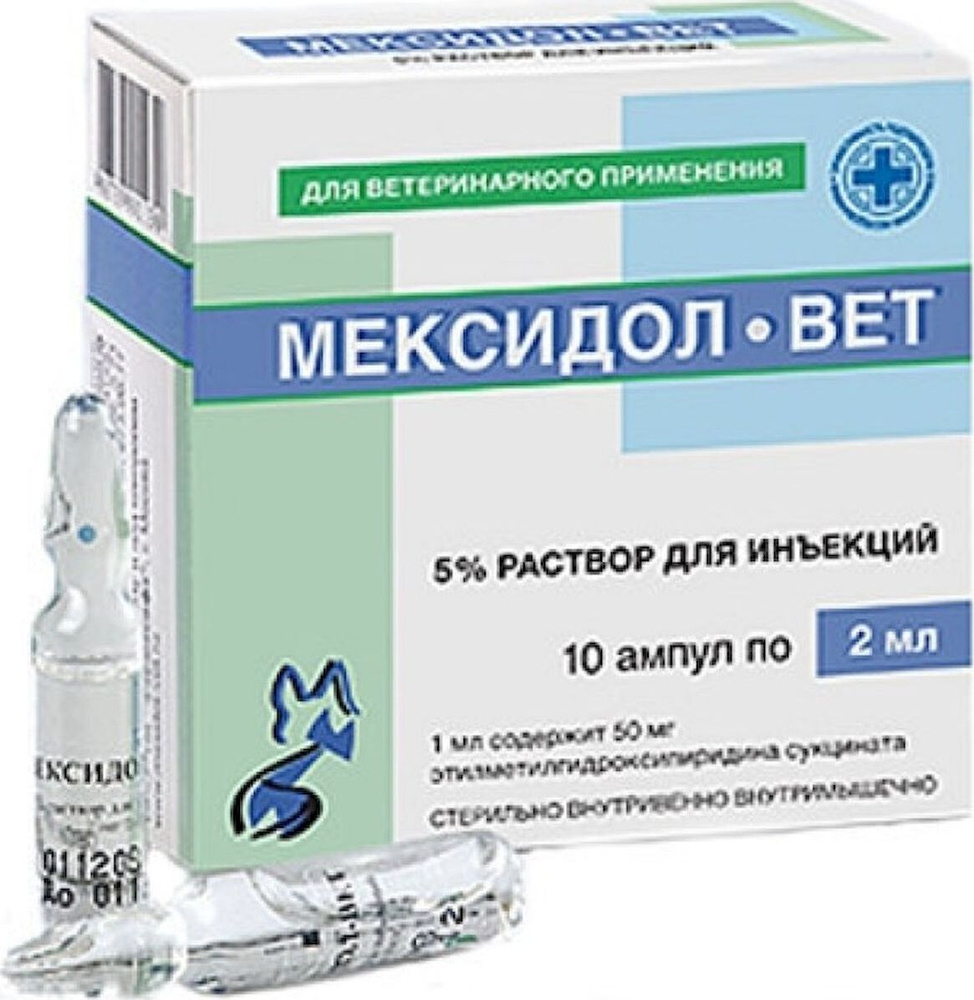 Раствор для инъекций Мексидол-вет 5% 2 мл, 10 штук в упаковке - купить с  доставкой по выгодным ценам в интернет-магазине OZON (158047517)