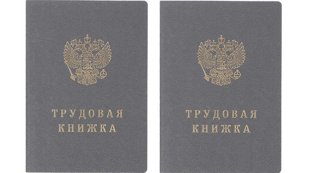 Трудовая книжка - 2 штуки - купить с доставкой по выгодным ценам в ...