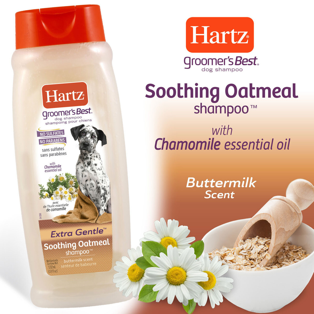 Whats The Best Oatmeal Shampoo For Dogs