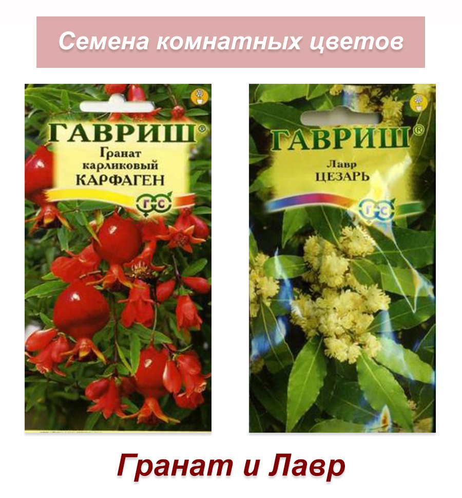 Гавриш Семена #1