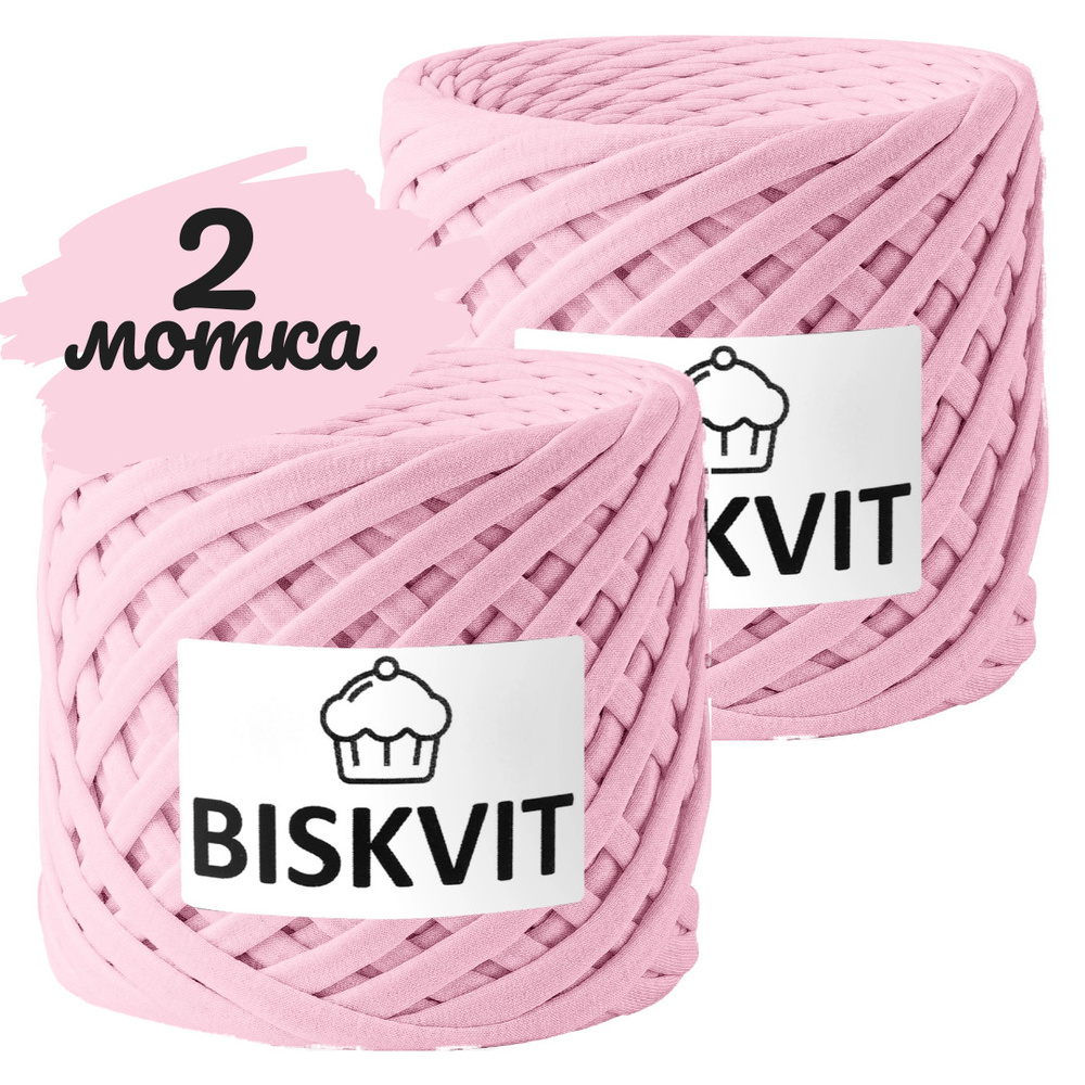 Трикотажная пряжа Biskvit зефир, 100м., лицевая 2шт. (бисквит) #1