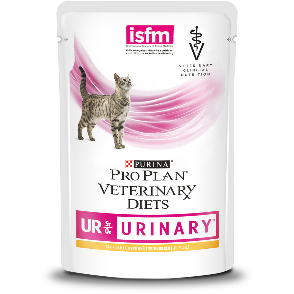 Purina urinary best sale dog food