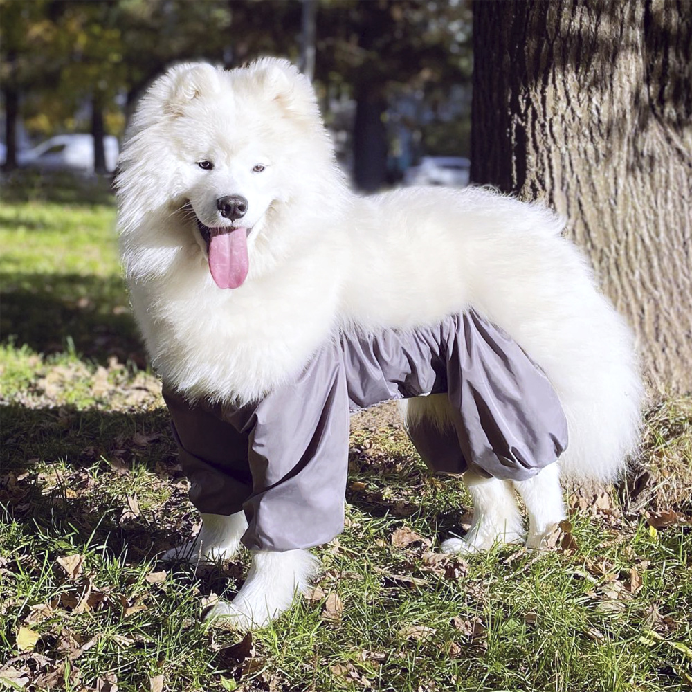 ЧИСТОПУЗ / комбинезон (брюки) для крупных собак, серый, для девочки, размер90 - купить с доставкой по выгодным ценам в интернет-магазине OZON(530334784)