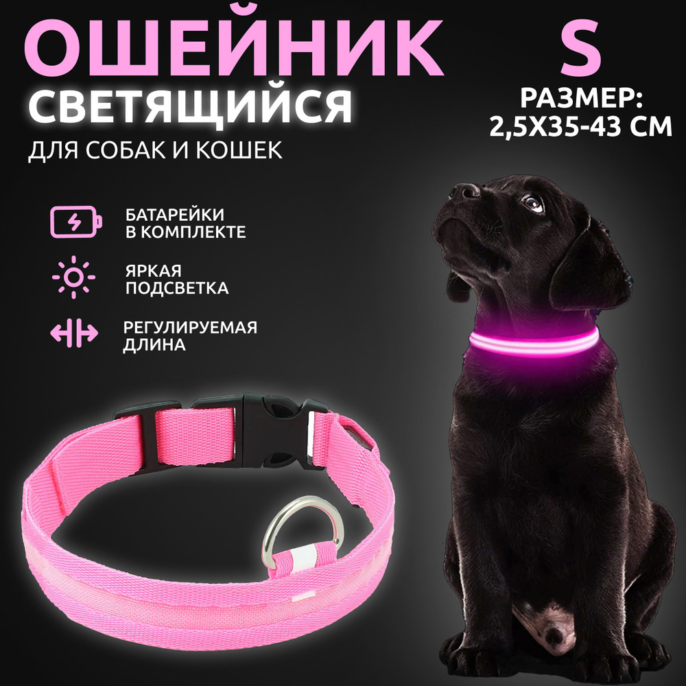 Светодиодный LED ошейник для собак Supretto с зарядкой USB (8158)