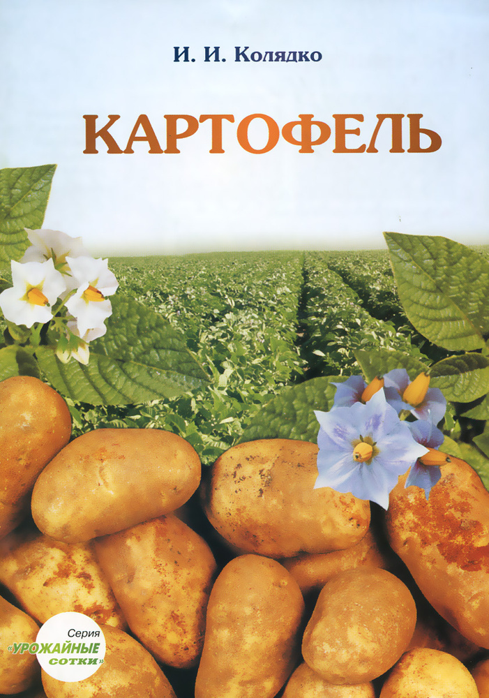 Картофель #1