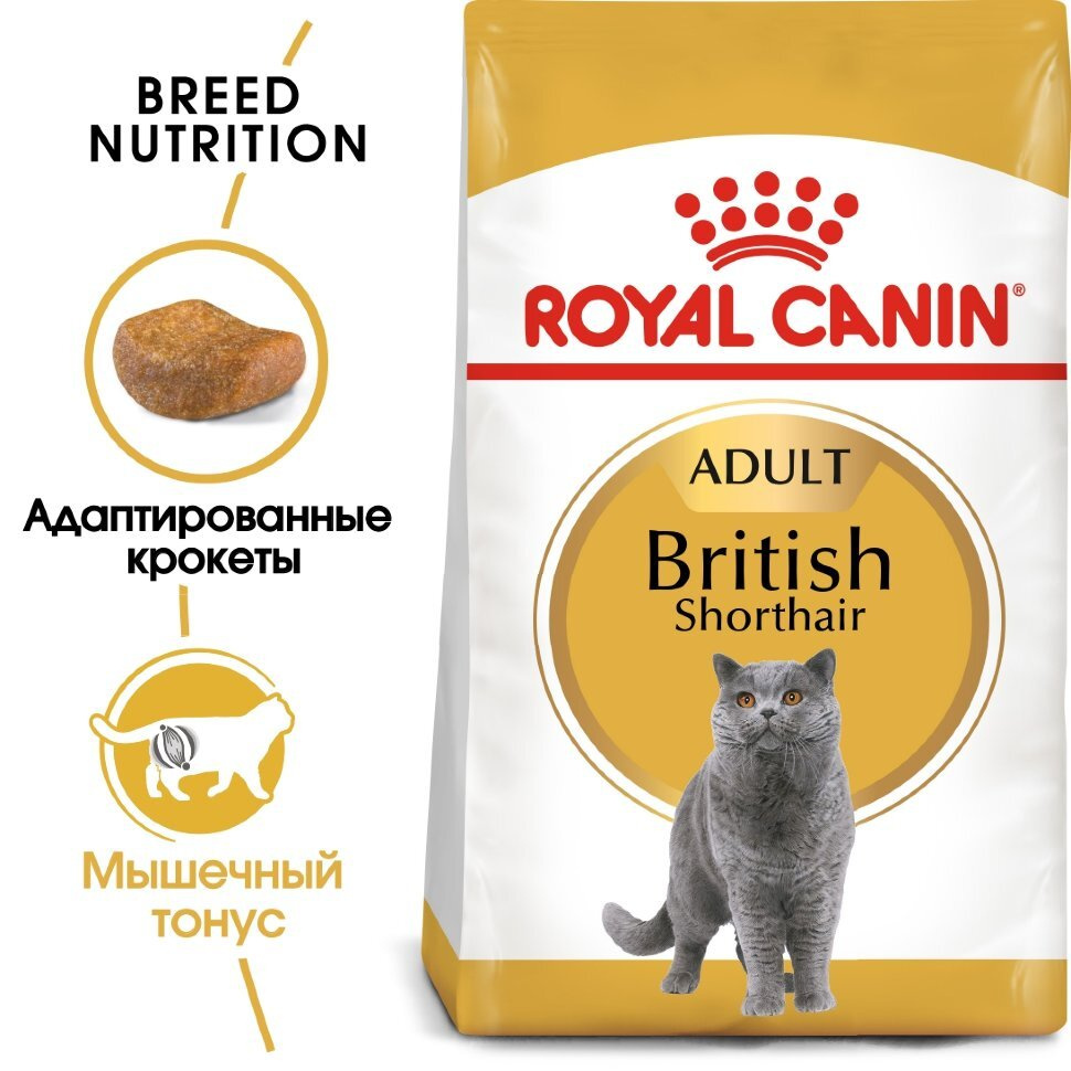 Royal Canin (Роял Канин) british shorthair Сухой корм для британских короткошёрстных кошек 0,4 кг  #1