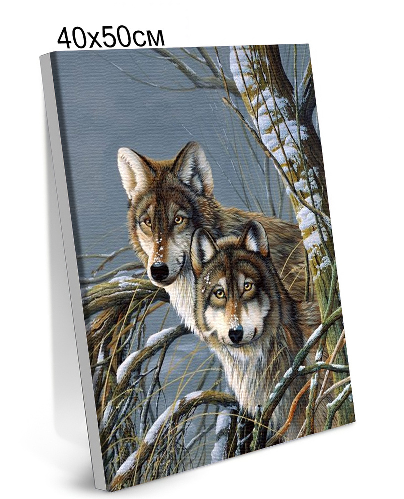 Картина по Номерам на Холсте 40х50 см Colibri Два Волка в Зимнем Лесу С ...