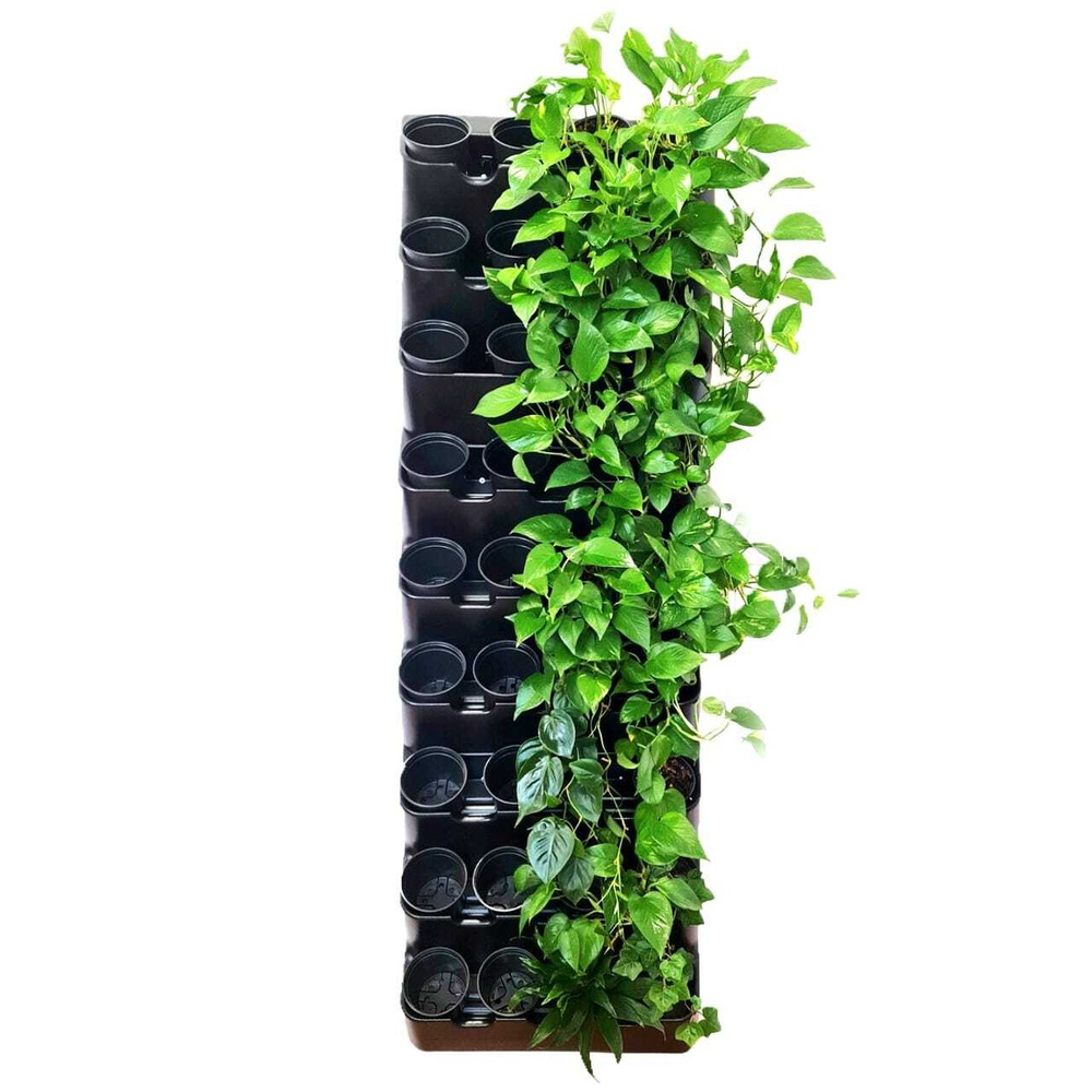 Фитомодуль "BOXSAND 36" (60х189 см) вместимость 36 растений, цвет чёрный для вертикального озеленения #1