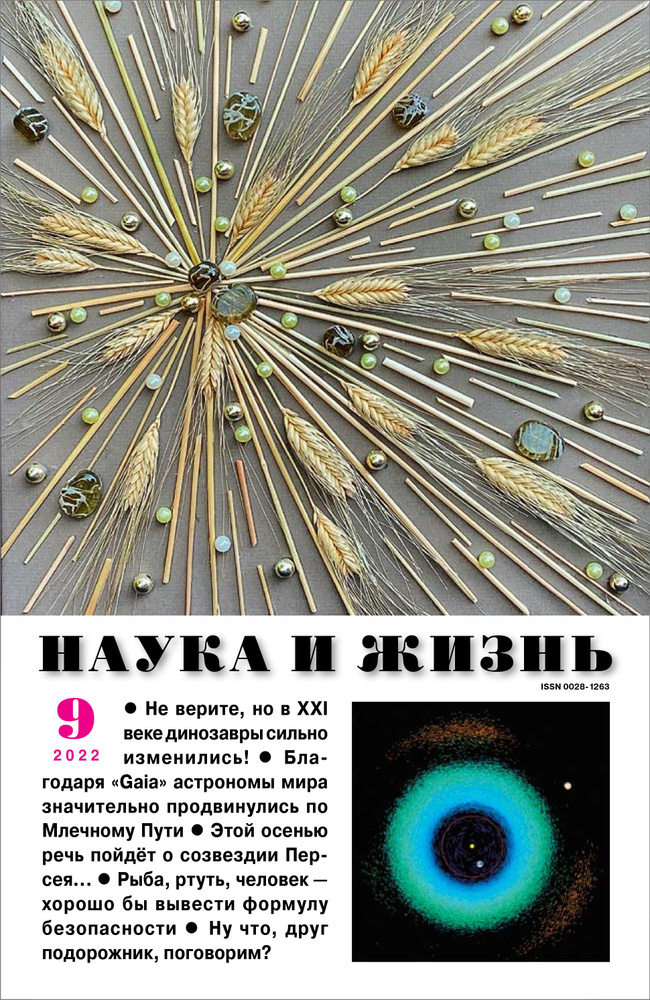 Наука и жизнь - сентябрь 2022. Российский научно-популярный журнал #1