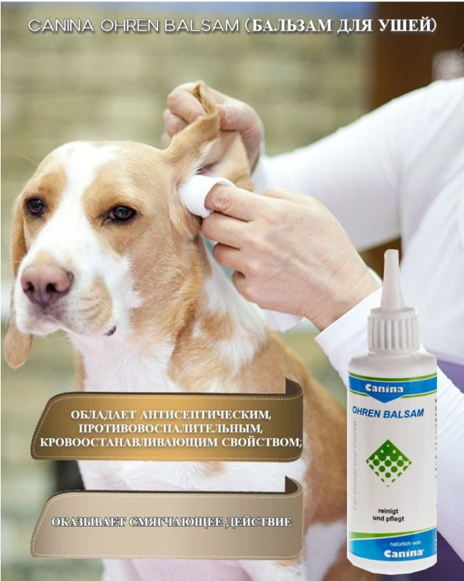 Бальзам для ушей Canina Ohren Balsam (100мл) - купить с доставкой по ...