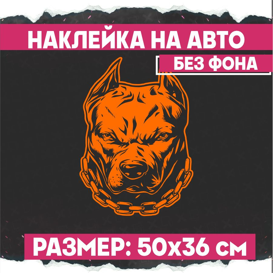 Наклейки на авто на стекло Питбуль PitBull Terrier - купить по выгодным  ценам в интернет-магазине OZON (798674131)