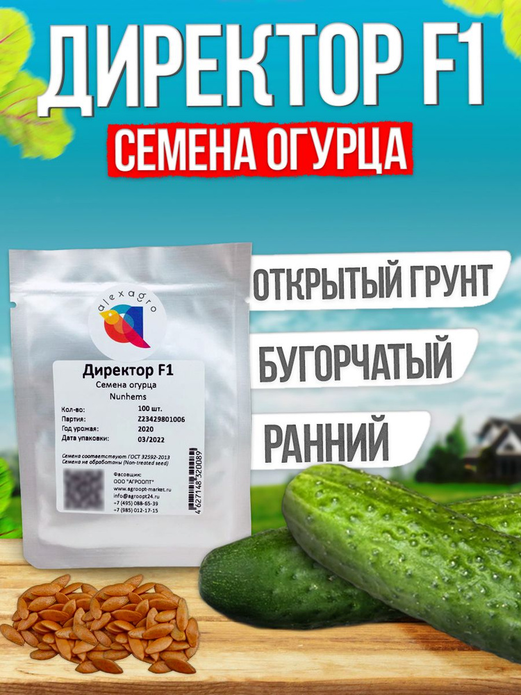 Семена огурцов Директор F1, 100 шт. (Nunhems / Alexagro). Раннеспелые, высокоурожайные корнишоны для #1