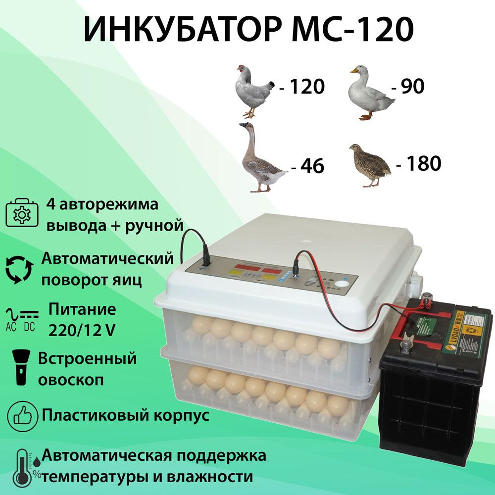 Бытовой автоматический инкубатор на 64 яйца