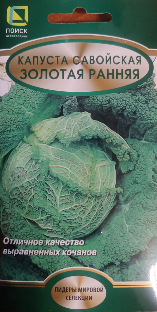 Семена капусты, Капуста савойская, Золотая ранняя, Агрохолдинг "Поиск"  #1