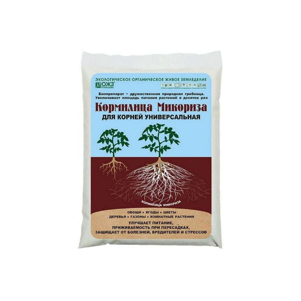Образует микоризу с корнями деревьев