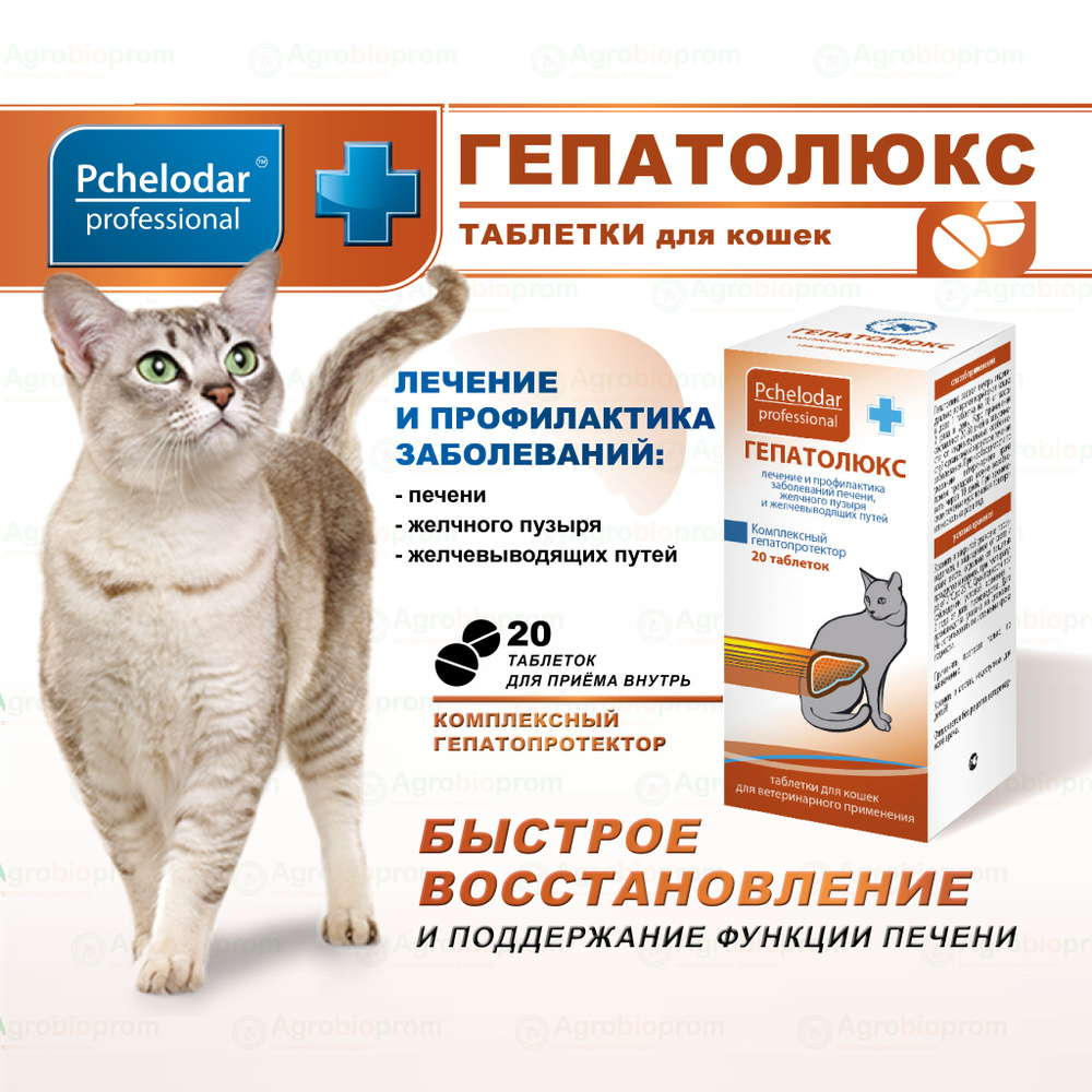 Гепатолюкс Средство для лечения заболеваний печени у кошек, Таблетки 20 шт,  Пчелодар - купить с доставкой по выгодным ценам в интернет-магазине OZON  (866417053)
