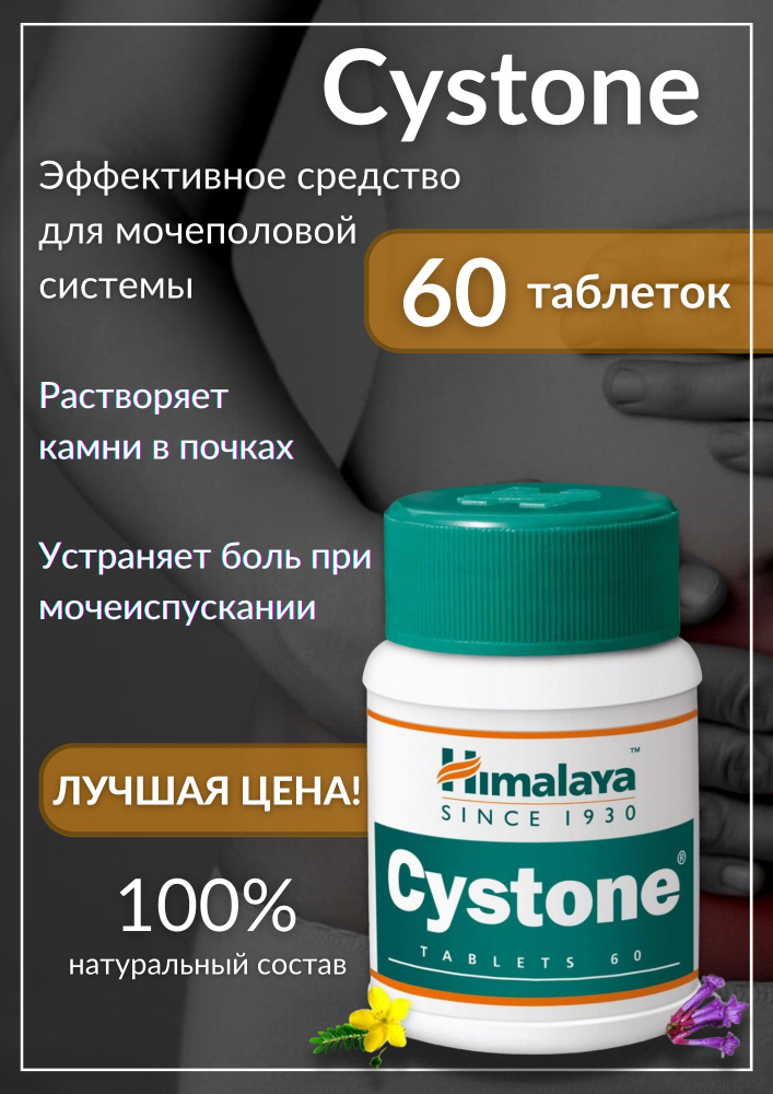Таблетки Цистон (Himalaya) здоровые почки, приток крови к почкам и ...