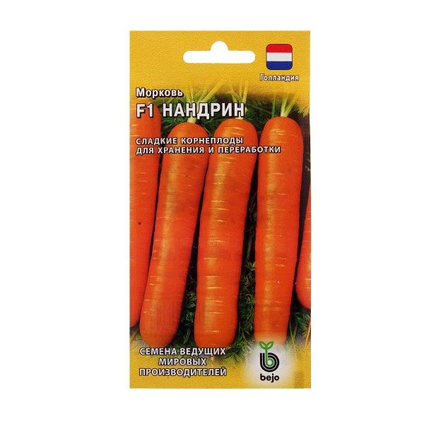 Морковь нандрин