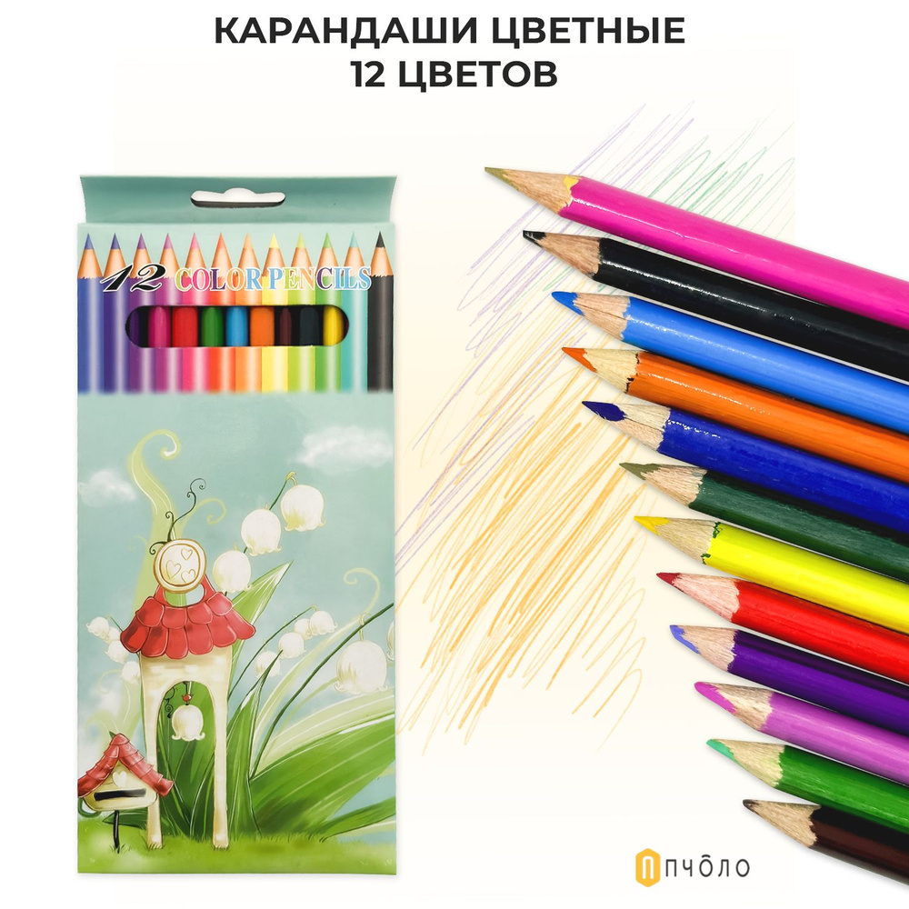 Набор карандашей, ПЧОЛО, Карандаши цветные, 12 цветов "COLOR PENCILS", бирюзовый  #1