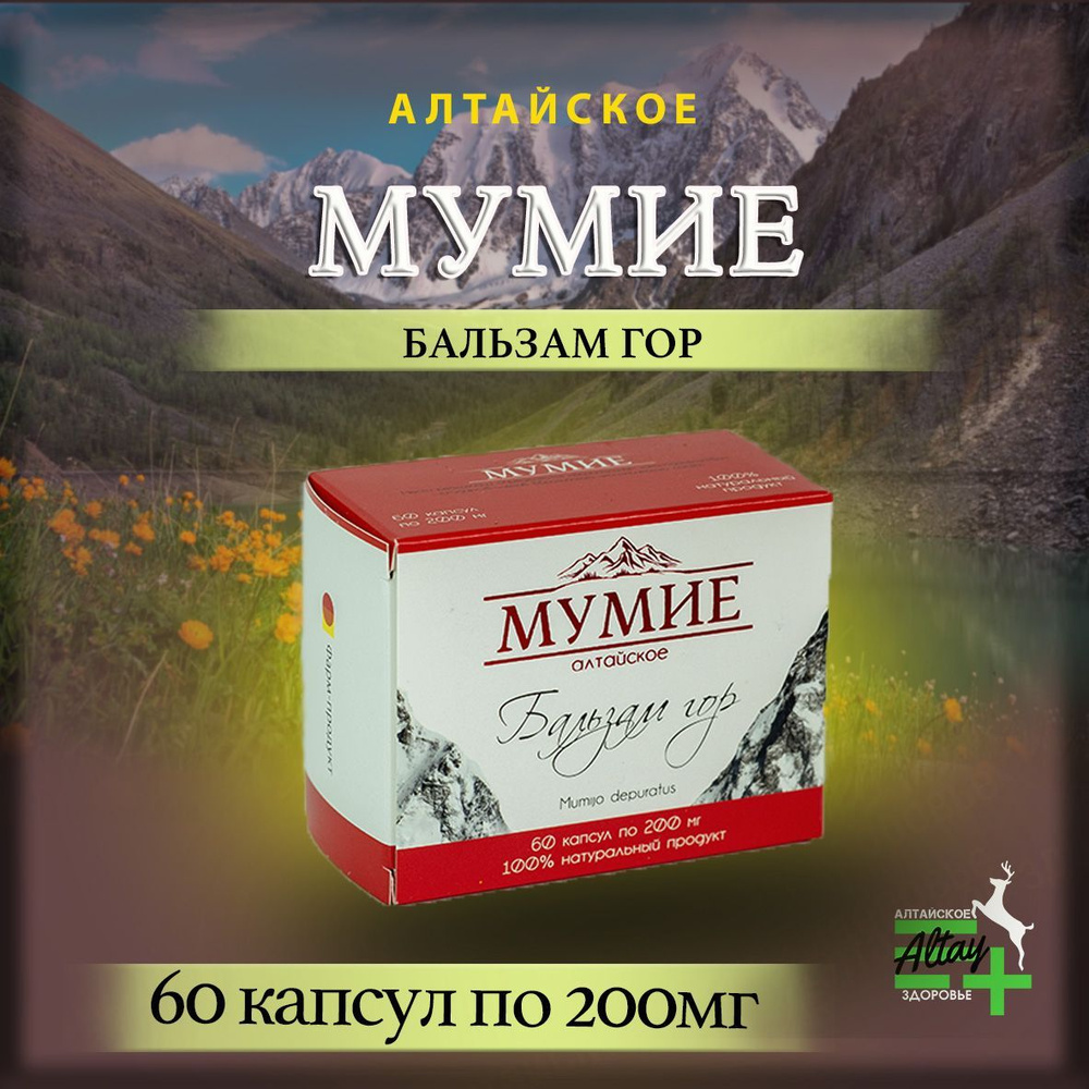 Мумиё алтайское натуральное очищенное 60 капсул Фарм продукт - купить с  доставкой по выгодным ценам в интернет-магазине OZON (885028062)