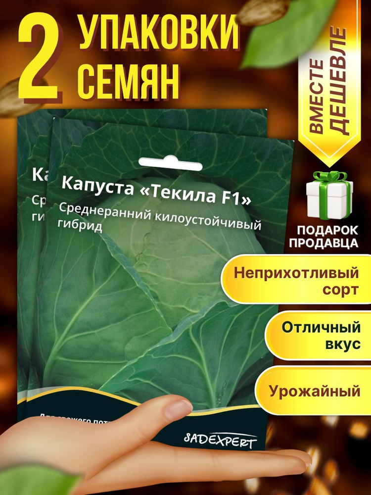 Набор семян Капуста белокочанная Текила 2 упаковки по 15 семян  #1